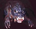 Avatar de l’utilisateur